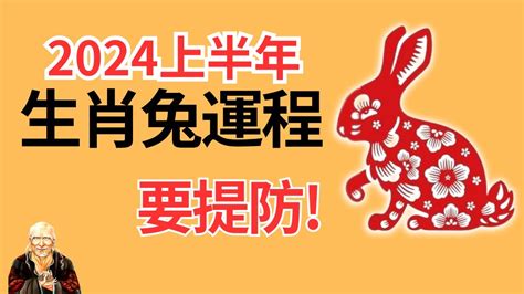 2024年生肖 運程 兔|属兔人2024年全年整体运势及每月运势详解